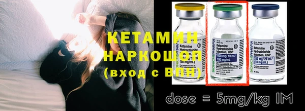 дживик Няндома