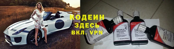 молекула духа Осташков