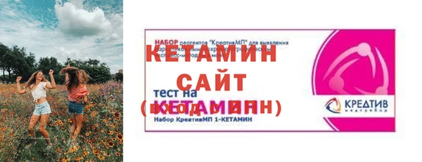 дживик Няндома