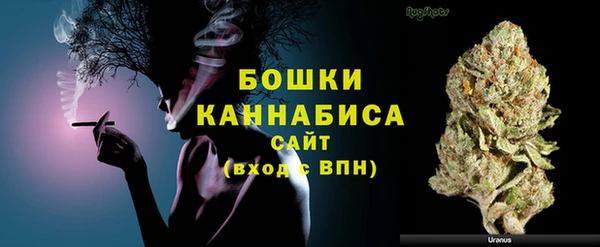 молекула духа Осташков
