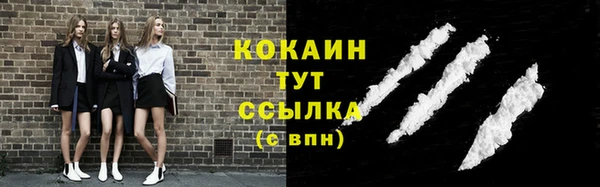 дживик Няндома