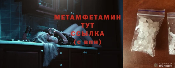дживик Няндома