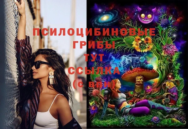 бошки Осинники