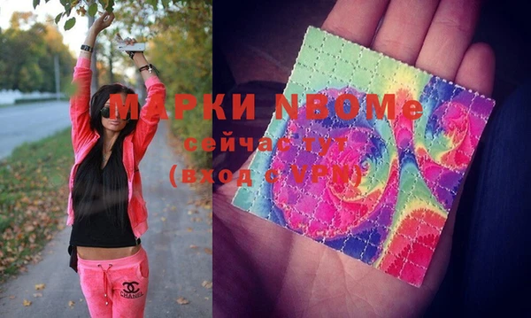 молекула духа Осташков