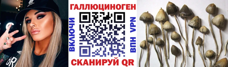 купить закладку  Межгорье  Псилоцибиновые грибы MAGIC MUSHROOMS 